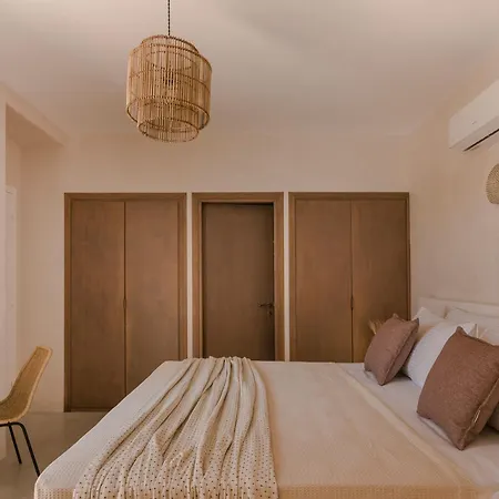 Lavanta - Iris Sunset